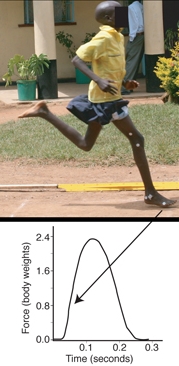 kenyan-forefoot-barefoot-runners-lieberman-harvard-study-bretta-riches-run-forefoot