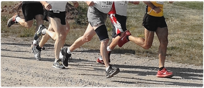 Humans hardwired to run forefoot, not rearfoot