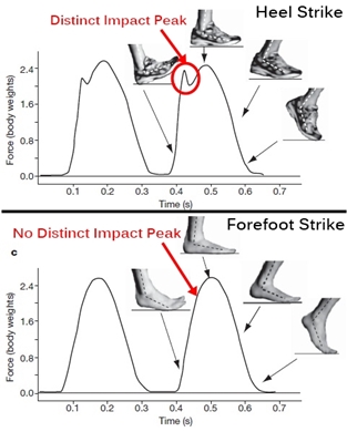vertical-ground-reaction-force-heel-striking
