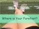 Where is Your Forefoot?