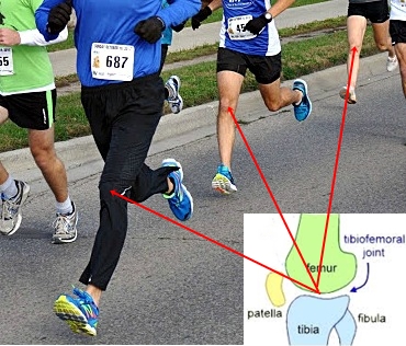 How Forefoot Running Reduces Tibiofemoral Joint Pain