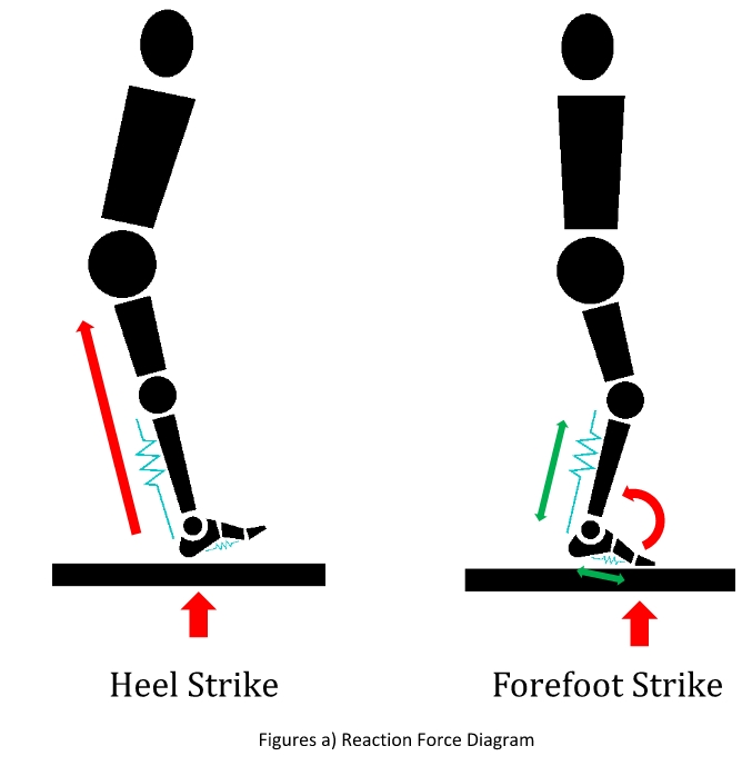 Heel Strike vs Forefoot Strike