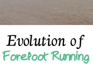 Evolution of Forefoot Running