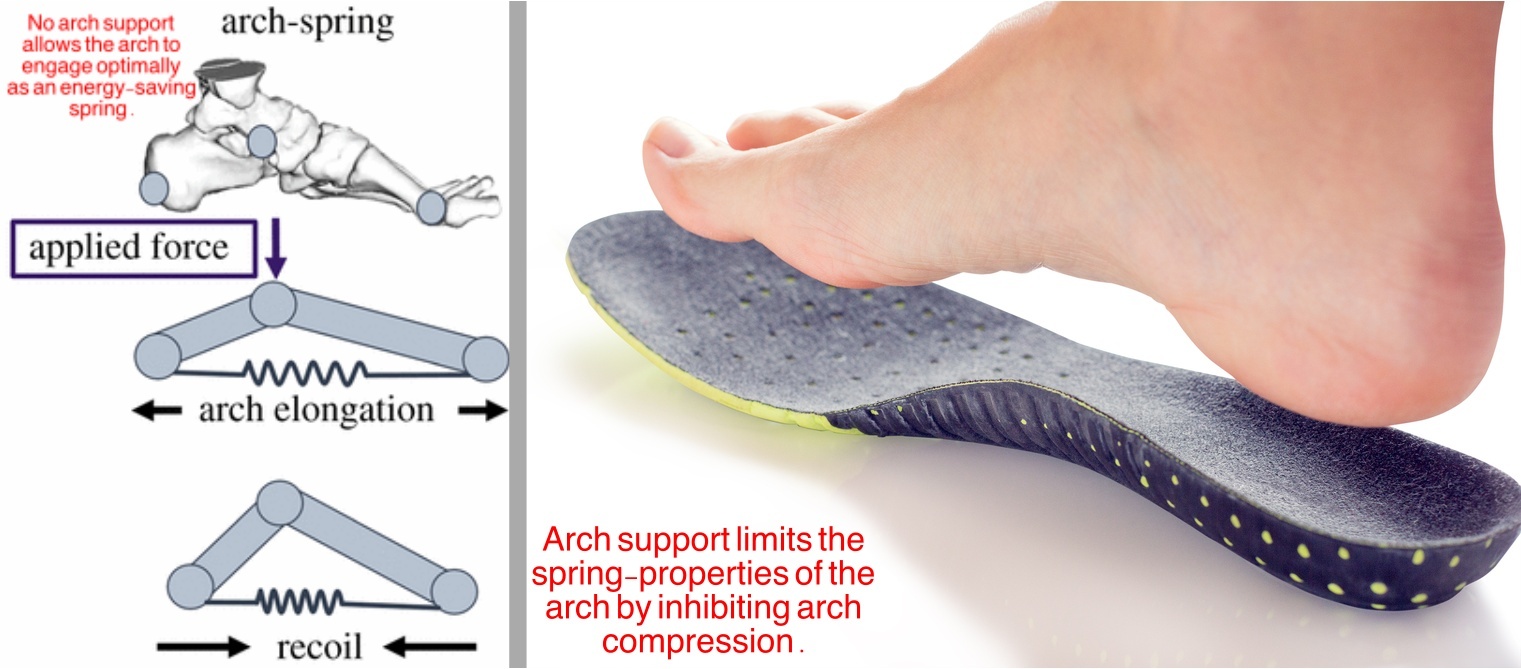Is Arch Support Good or Bad for Running?