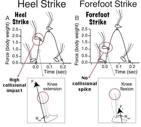 Barefoot Running Foot Strike