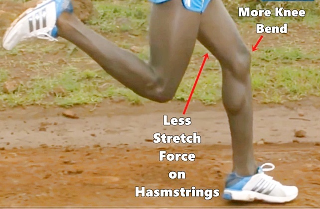 Is Forefoot Running Better for the Hamstrings than Heel Strike Running?