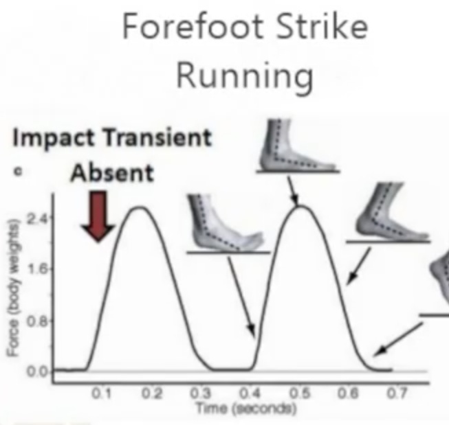 Why Forefoot Running is Better for Your Arches