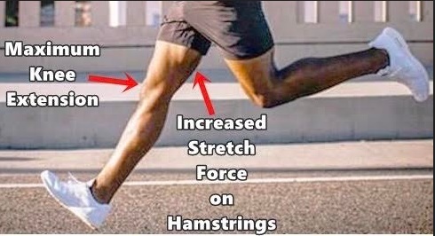 Is Heel Strike Running Bad for the Hamstings?