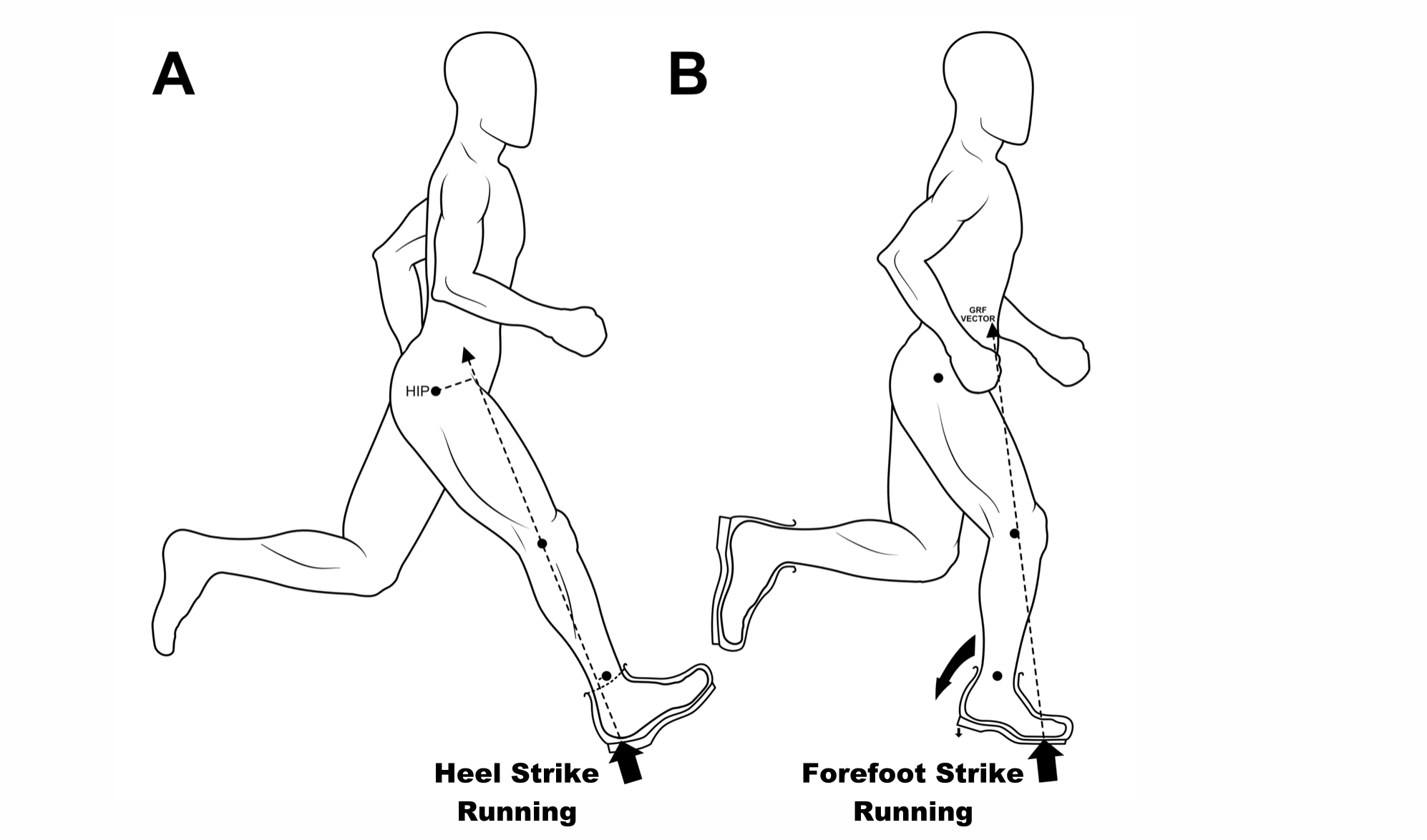 Forefoot Running is Better for Runners with Higher Arches than Heel Strike Running